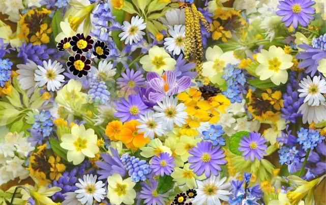  财源滚滚|谁家有这几个生肖, 灾邪不侵, 财源滚滚, 享福一生