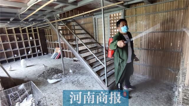  工作|小伙在紫荆山公园做鸽子生意，一做就是20多年，生意好时一月赚6000多