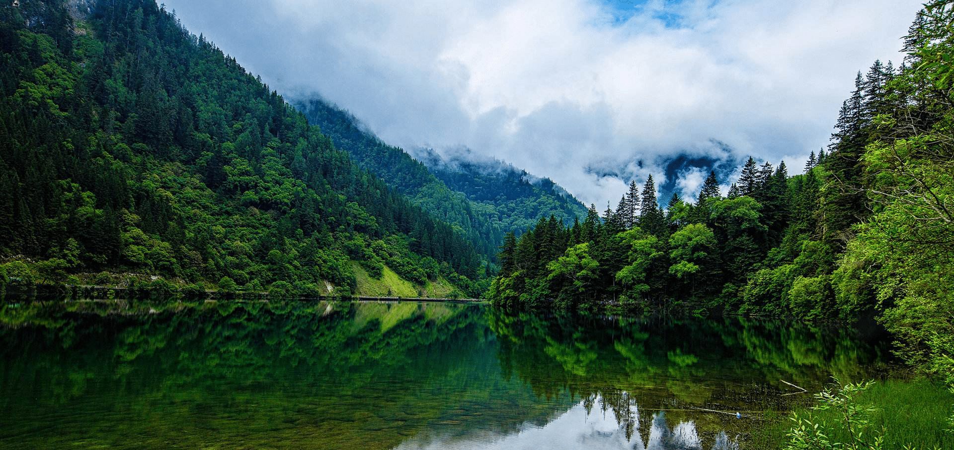  下半年|下半年财气能够一路飙升的4个星座, 追求的目标将有明显的收获
