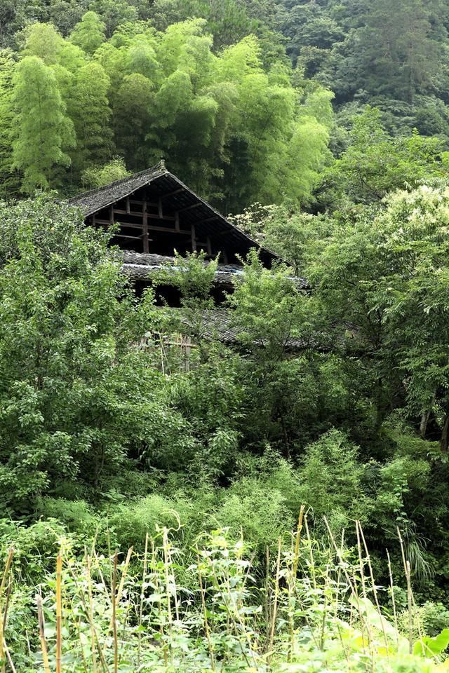  地基|河畔老屋：十万元就想买我的老屋，还连地基？十万元可以站十分钟