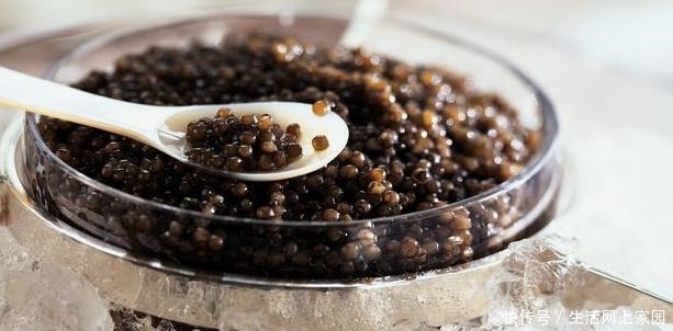 看完|为何说中国把鱼子酱拉下“奢侈品”神坛,看完才知道,是我们太强