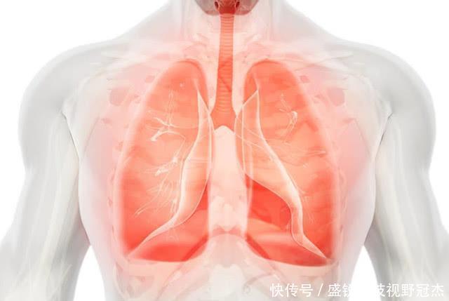 清热|支气管炎的“克星”被找到了,饭后来一杯,润肺清热,止咳平喘
