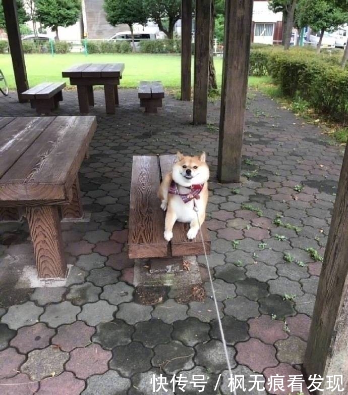 下车|幽默笑话:今天坐公交,到站了,一大妈抱着一麻袋西瓜要下车