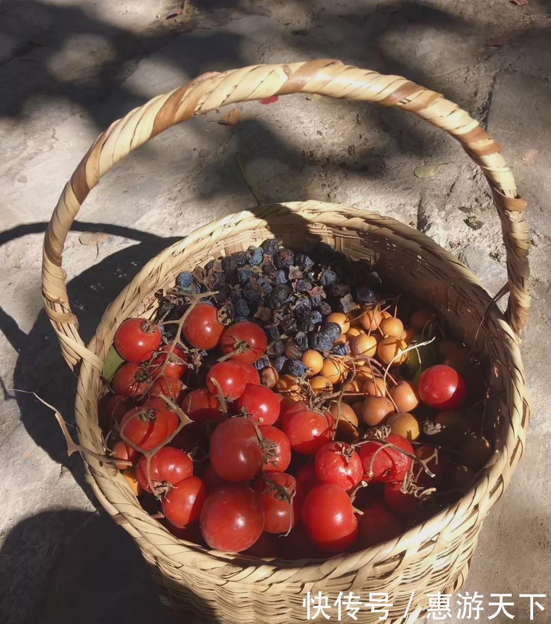 旅行|川西藏地的舌尖密码,不一样的“味蕾旅行”