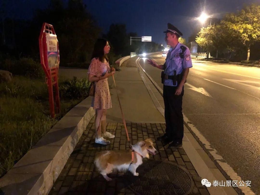 养犬行为|景区：整治“不文明养犬”景区分局一直在行动