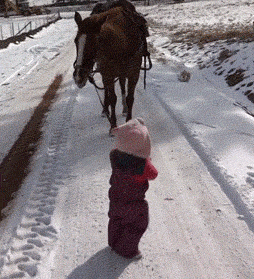 广场|搞笑GIF:广场新来的舞帝