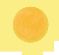 你家|有福了!普陀又一公园完成改造,在你家附近吗?