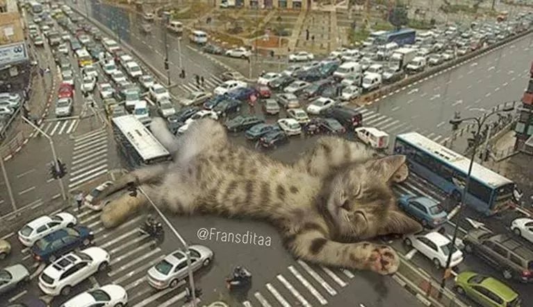  哥斯拉|要是小猫咪突然变成了庞然大物，这个世界会是什么样的