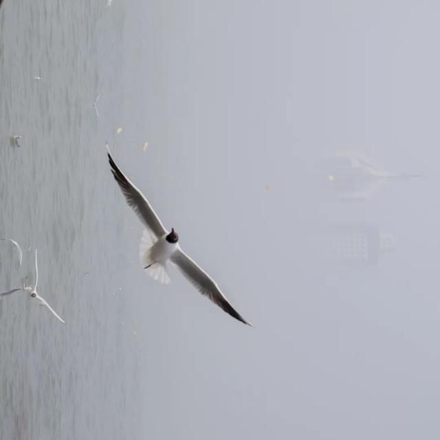  shui|陈燕：光不度，shui水成文