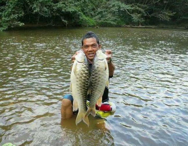 种鱼|亚洲最贵的“特供鱼”一口鱼肉要600元,名字在中国很霸气