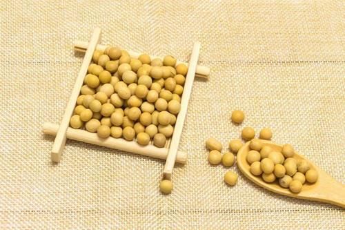  五谷杂粮|五谷杂粮的营养好，它营养丰富