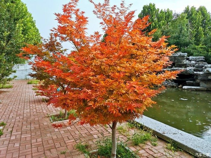  H2|为爱发声，有哈弗H2相伴，去公园采风