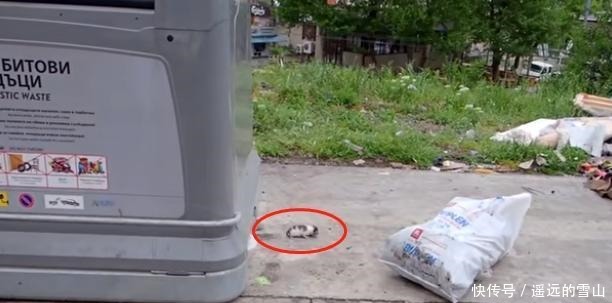  猫咪|垃圾桶旁有只出生不久的猫，看外面下着雨，好心夫妇把猫收养