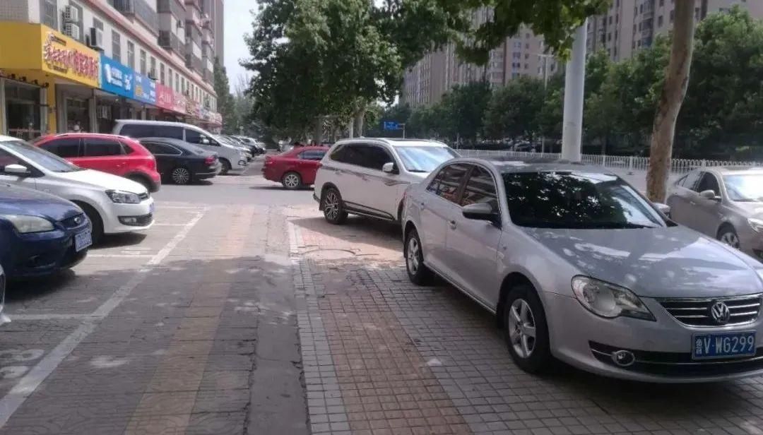 机动车道|文明创建曝光台——交通秩序