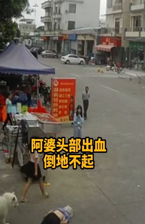  杏坛镇|佛山阿婆被狗绳绊倒身亡！官方通报来了
