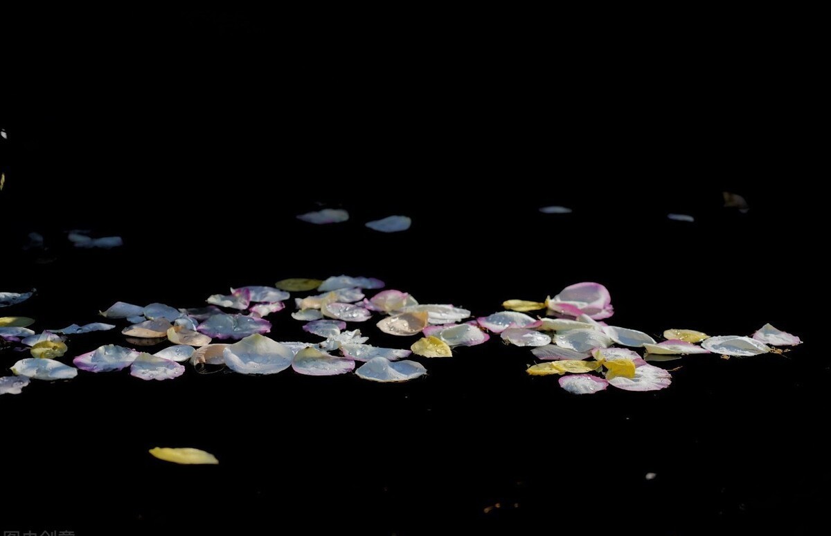 烟消暮雨残|心的站台,回首之时,落花的碎沾满了尘埃