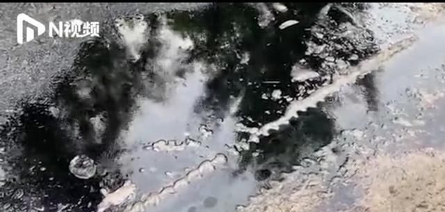 生活|3000吨茶叶被毁,损失9000万,他最担心的竟然还是别人!