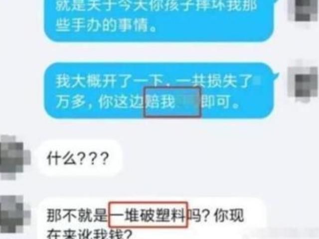 奶奶|孙子打破亲戚手办，被索赔两万元，奶奶：一堆塑料这么贵