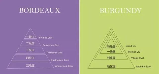  勃艮第|波尔多 VS 勃艮第