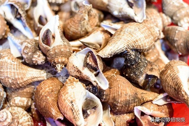 原汁原味|海边人教您这样吃海鲜,自抓自煮原汁原味,一个人吃一大盆超过瘾