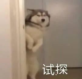  房爆|闪瞎眼：宽度不到1米的纸片房爆红全网！网友：真的能住人？