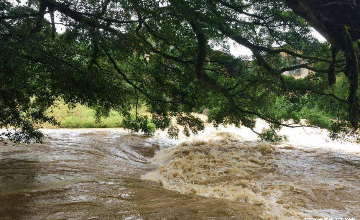 靠近|巅峰17级!“风王”海神预计8日进入东北,会带来什么影响?