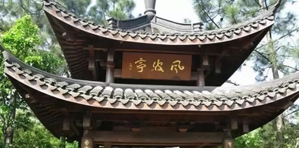 良禽择木|被南宋抛弃的岳家军归顺金人，并替其抗击蒙军，良禽择木而栖？