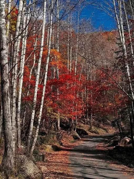  太行山|深远传奇的五千年山西“必游”之路