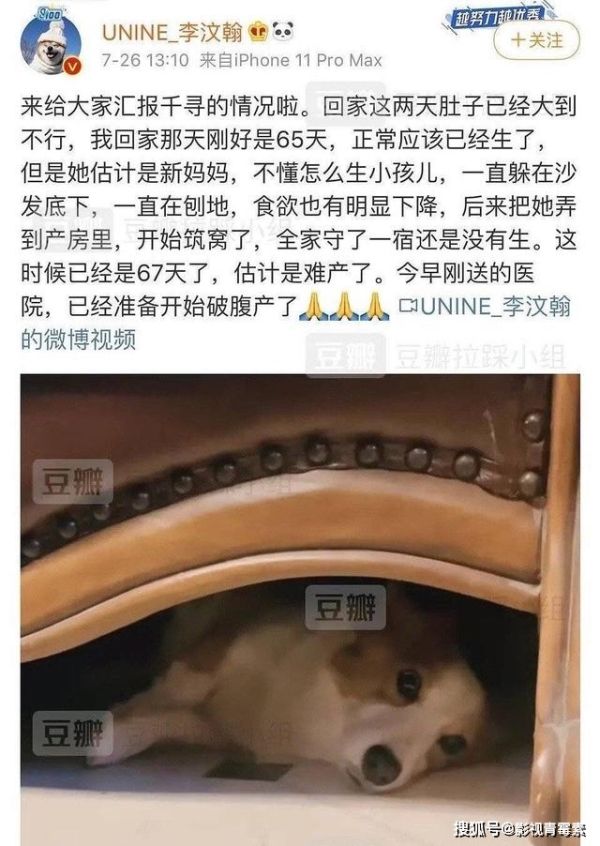  汶翰和易易|李汶翰把大7岁的易易紫扑倒在车盖上，网友却找杜华要1亿的赔偿金