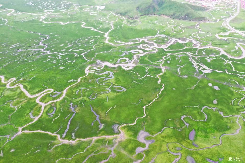  穿越|【黑黑哥游记】邂逅大美阿万仓湿地，迭山穿越爆胎惊魂