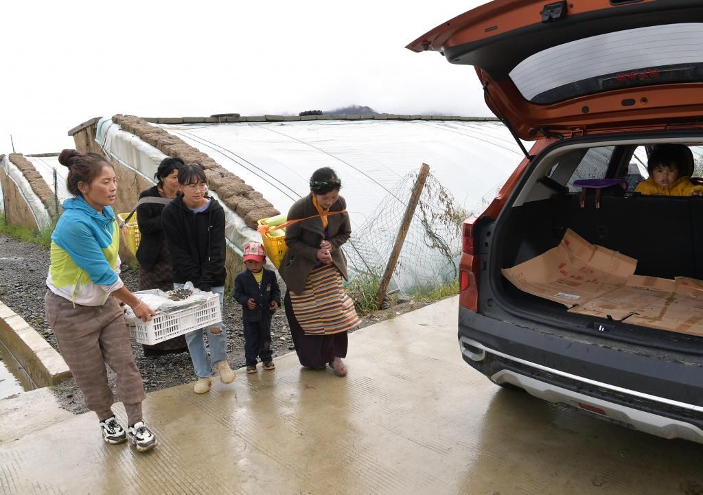 小康生活|(走向我们的小康生活)(6) 创业路上的“格桑”姐妹