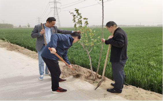 “双联共建聚合力 植树添绿正当时”主题党日活动成功举办