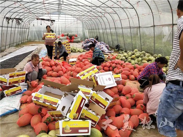 集体经济|独山黄后村:“三招”快速壮大村集体经济