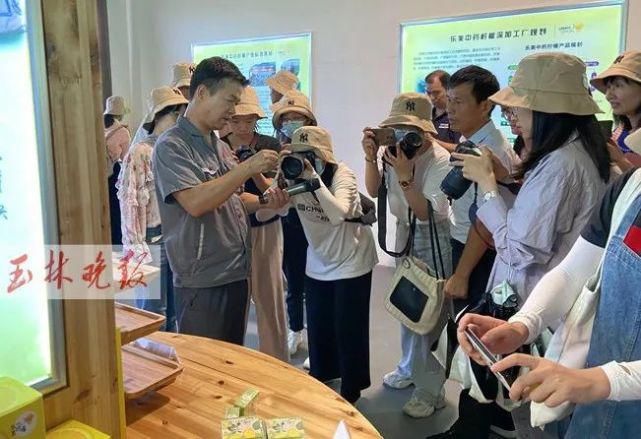仁东镇鹏垌|令人骄傲！玉林这些地方的变化真大