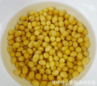 做法|黄豆新吃法,泡一泡,煮一煮,做法简单,营养美味又上档次