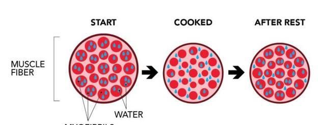  本质区别|生肉和熟肉的本质区别