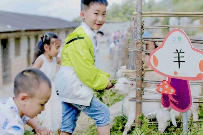  农场|8月来临！一起去天空之上的农场种菜野炊、烧烤露营，找寻那份简单的快乐~