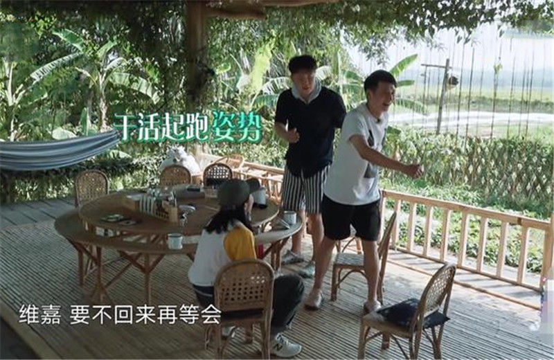  精彩|《向往的生活4》官宣收官，盘点这一期的精彩看点？