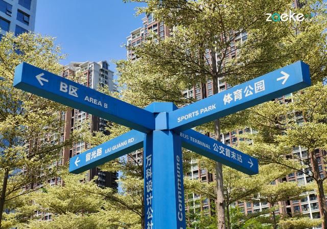 X50|vivo X50 Pro+ 拍照专项评测:强悍如此,堪称炫技