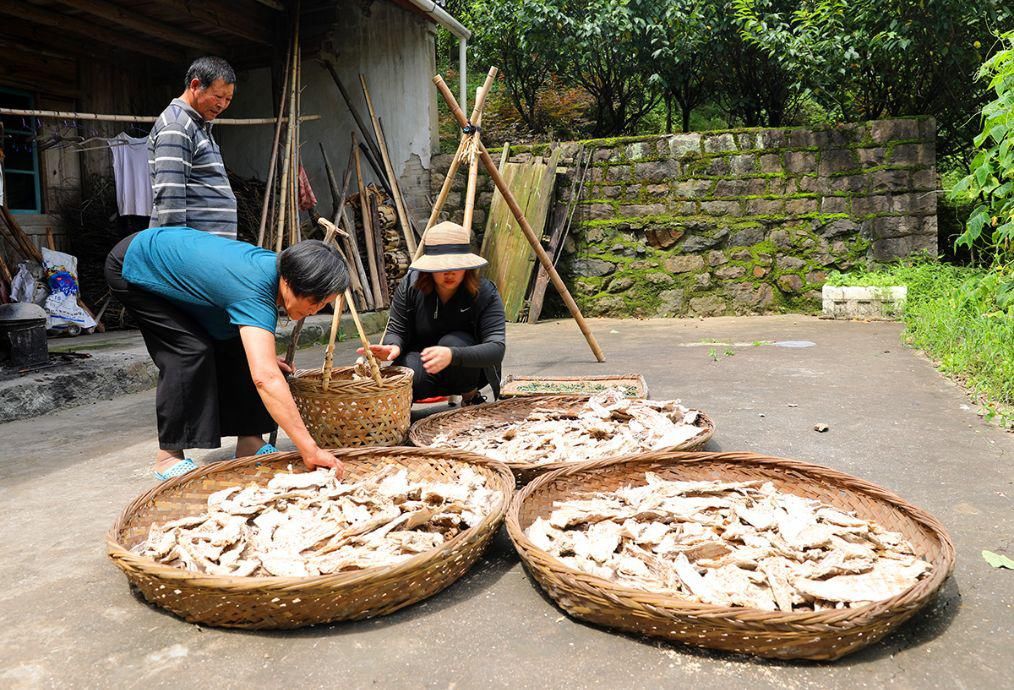  美红姑娘|今年四明山第五圈，专程到唐田，看望回乡助农的90后宝马姑娘