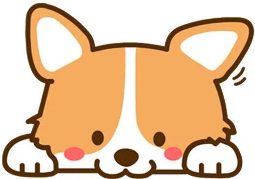  小狗|蒙城：这条小狗居然成了“纵火犯”