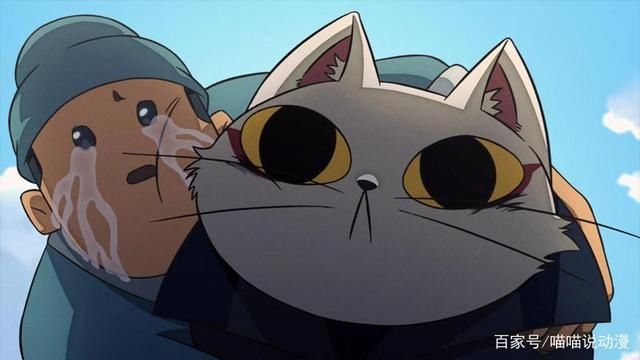  法宝|《大理寺日志》：猫咪断案如神，究竟用了什么法宝？