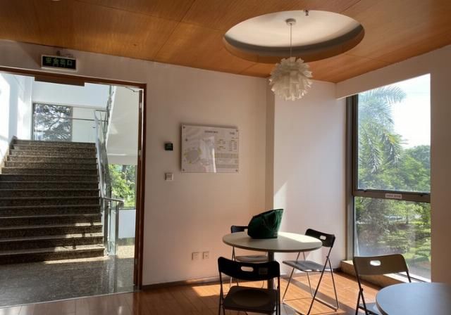  评测|ROG游戏手机3评测：首发865 Plus，看背后多数人会说三个字