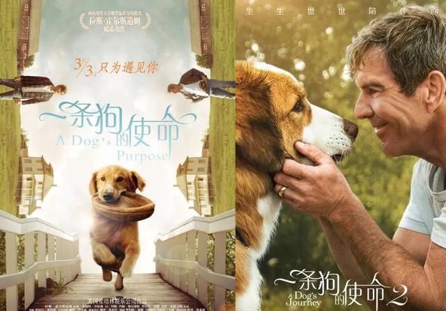  五年|阿里影业五年「出海史」| 专访阿里影业副总裁何弭