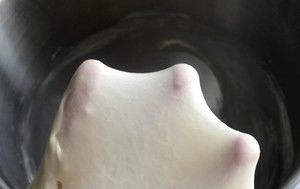  小面包|一次发酵同样松软的椰蓉小面包