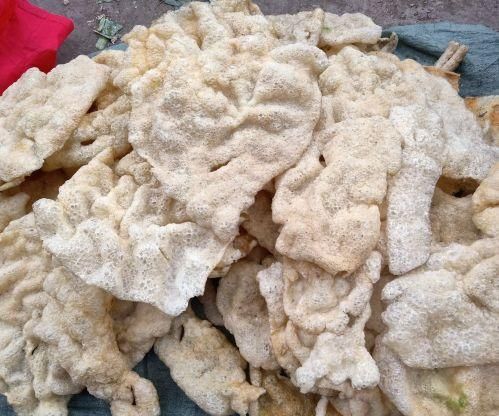  味道|夏天热得不想做饭，来这里“斩料”加个菜，有外婆家的味道哦