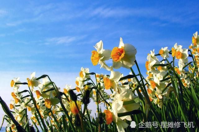  生肖|七月开始：财运如火如荼，处处遇贵人，来喜又来财的生肖