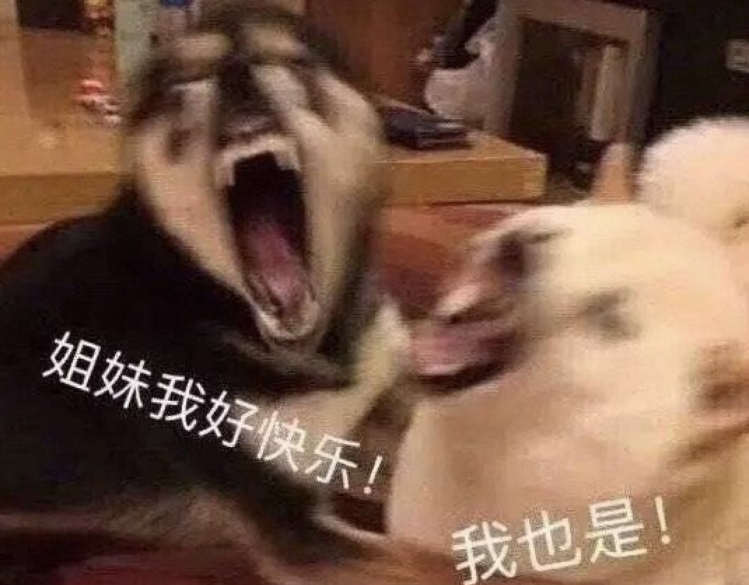  豆瓣|豆瓣8.6！今年最好看的综艺！