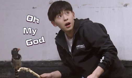  满屋|邓伦胆子有多小？紧抱吴磊不撒手，被鸡撵得满屋跑