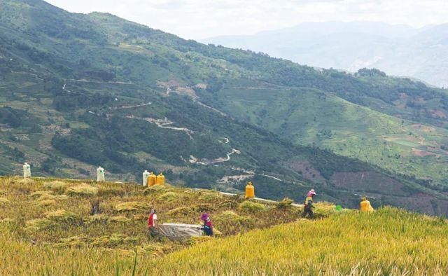 生长|云之南，一个生生不息、万物生长的地方